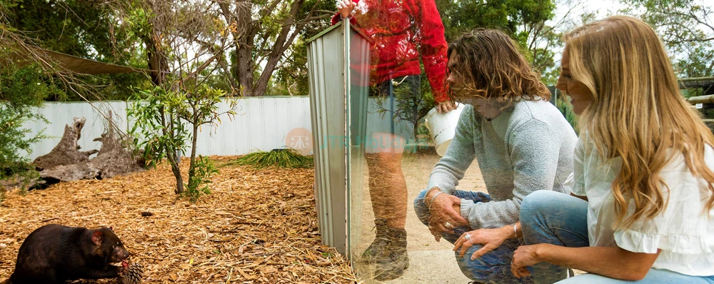 Moonlit Sanctuary - Image 4 of 5