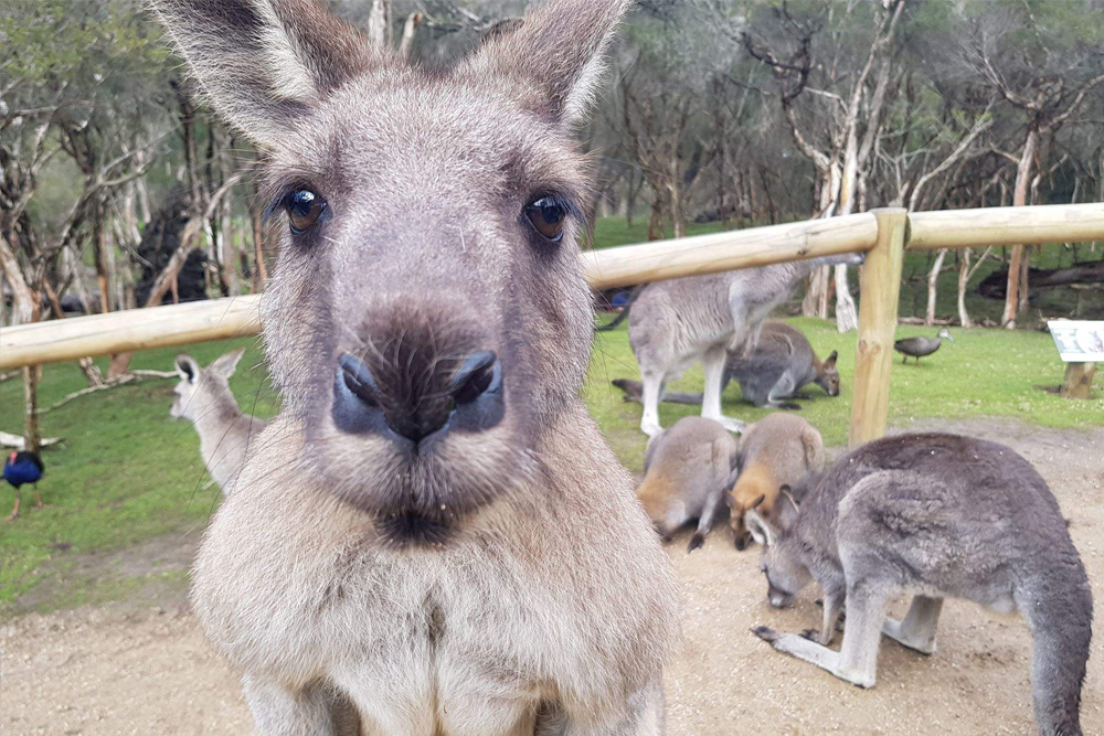 ملاذ ضوء القمر - Image 6 of 7