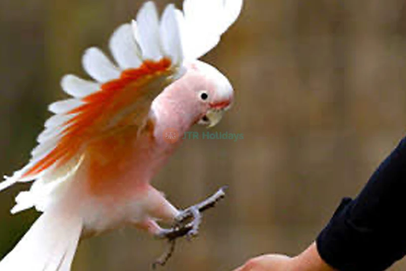 Moonlit Sanctuary - Image 7 of 7