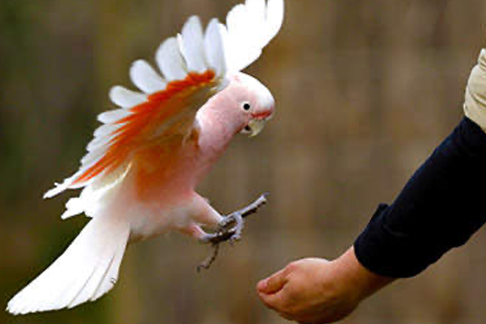 ملاذ ضوء القمر - Image 7 of 7