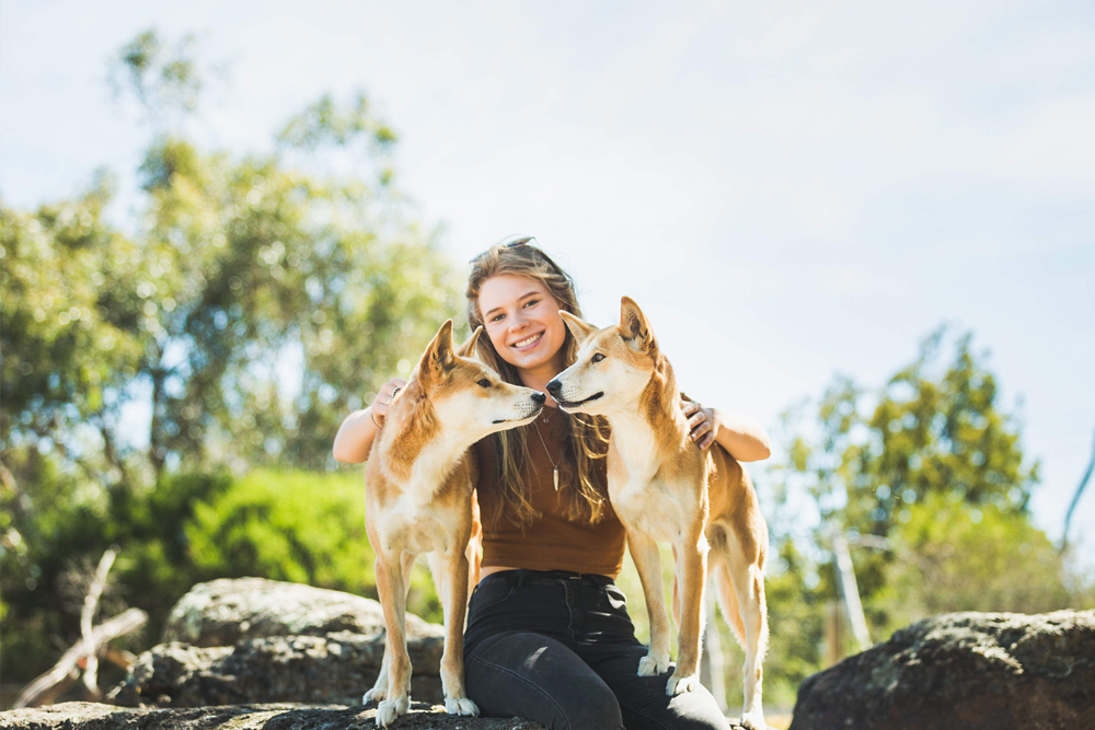 Santuario Moonlit - Explora la belleza de la vida silvestre australiana en el Santuario Moonlit. Disfruta encuentros cercanos con canguros, koalas y otros animales nativos, con emocionantes tours nocturnos que ofrecen una experiencia única. Perfecto para familias y amantes de los animales, el santuario también se centra en la conservación y la protección de especies en peligro. Un destino imperdible para una aventura memorable en la naturaleza. Santuario Moonlit - Imagen 2 de 5