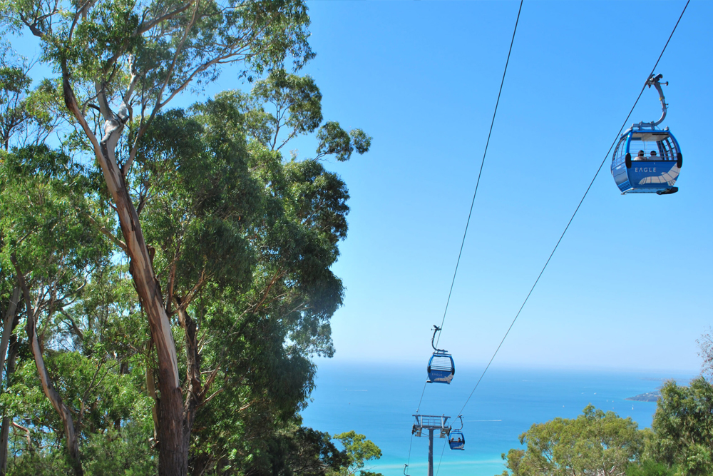 Arthurs Seat Eagle Ticket on the Mornington Peninsula - Image 6 of 6