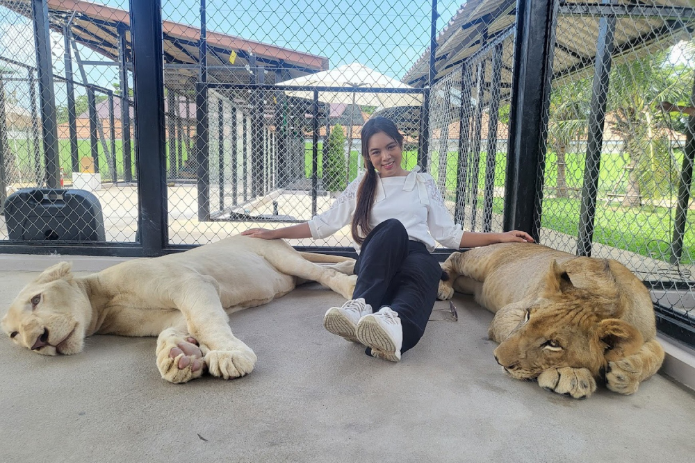 Lion Land Phuket - Image 4 of 8