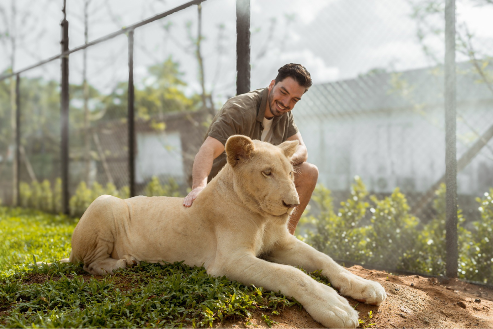 Lion Land Phuket - Image 2 of 5