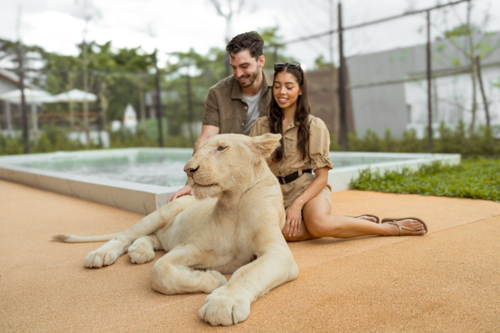 Lion Land Phuket - Image 8 of 8