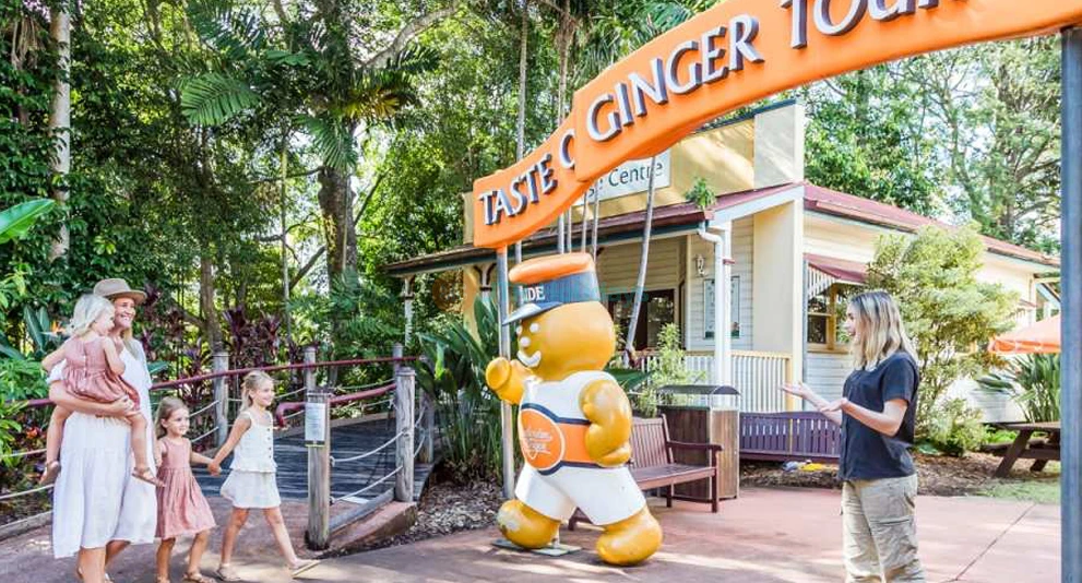 The Ginger Factory Sunshine Coast - The Ginger Factory in Yandina, Queensland, offers a unique experience centered around ginger farming and its many uses. Visitors can enjoy guided farm tours, taste ginger-inspired treats, and explore beautiful gardens. The Ginger Train ride offers a scenic journey through the property, while the gift shop features a wide range of ginger-related products. Perfect for families and food lovers, The Ginger Factory is a must-visit destination for anyone in the area. The Ginger Factory Sunshine Coast - Image 1 of 5