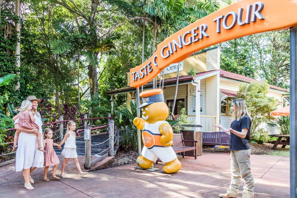 The Ginger Factory Sunshine Coast - The Ginger Factory in Yandina, Queensland, offers a unique experience centered around ginger farming and its many uses. Visitors can enjoy guided farm tours, taste ginger-inspired treats, and explore beautiful gardens. The Ginger Train ride offers a scenic journey through the property, while the gift shop features a wide range of ginger-related products. Perfect for families and food lovers, The Ginger Factory is a must-visit destination for anyone in the area. The Ginger Factory Sunshine Coast - Image 1 of 5