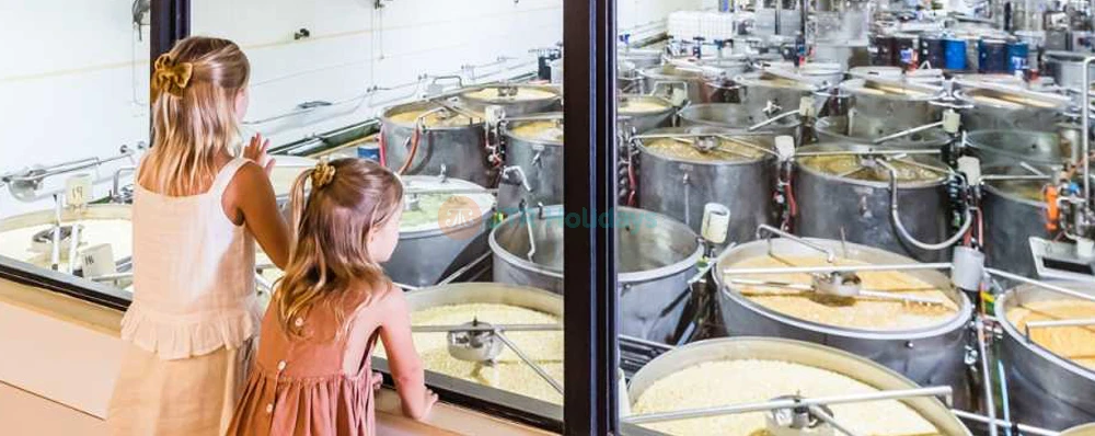 The Ginger Factory Sunshine Coast - Image 4 of 5