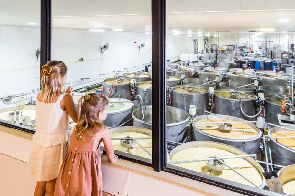 La Fábrica de Jengibre Costa del Sol - La Fábrica de Jengibre en Yandina, Queensland, ofrece una experiencia única centrada en el cultivo del jengibre y sus múltiples usos. Los visitantes pueden disfrutar de tours guiados por la granja, degustar productos inspirados en el jengibre y explorar hermosos jardines. El paseo en el Tren de Jengibre ofrece un recorrido panorámico por la propiedad, mientras que la tienda de regalos cuenta con una amplia variedad de productos relacionados con el jengibre. Perfecto para familias y amantes de la gastronomía, La Fábrica de Jengibre es un destino imprescindible para quienes estén en la zona. La Fábrica de Jengibre Costa del Sol - Imagen 4 de 5