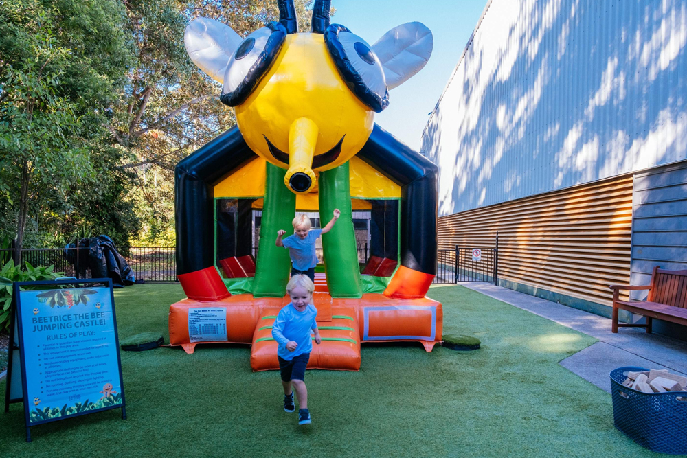 The Ginger Factory Sunshine Coast - Image 5 of 5