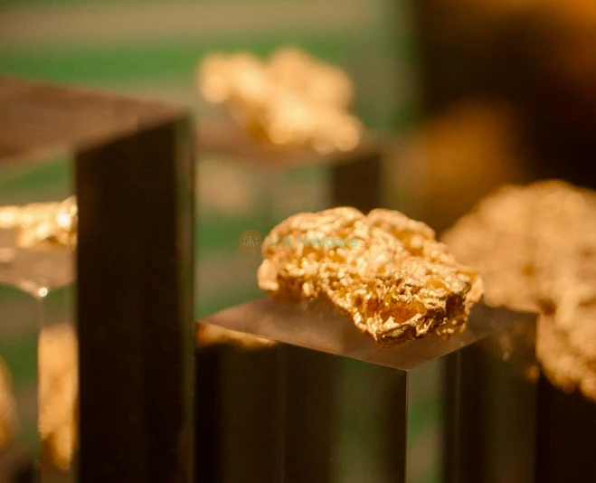 The Perth Mint | Explore Gold History & Pours in Perth - JTR Holidays - Image 5 of 5