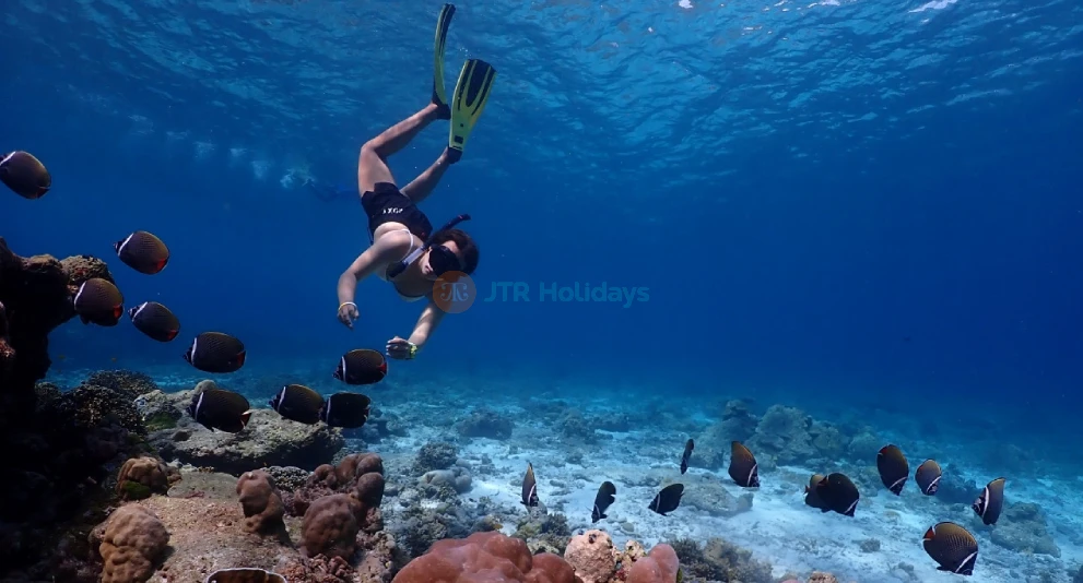 Excursion de snorkeling en hors-bord aux îles Similan depuis Phuket - Image 1 sur 5
