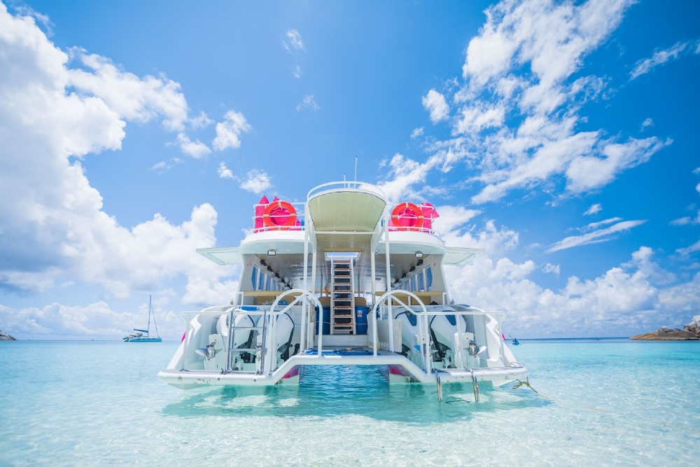 Similan-Inseln Speedboot Schnorcheltour ab Phuket - Machen Sie eine ganztägige Speedboot-Schnorcheltour von Phuket zu den atemberaubenden Similan-Inseln. Entdecken Sie kristallklares Wasser, lebendige Korallenriffe und Sandstrände mit weißem Sand. Besuchen Sie berühmte Orte wie Sail Rock und mehrere Schnorchelstellen, die von Meeresleben wimmeln. Inklusive Hoteltransfer, Schnorchelausrüstung, thailändischem Mittagessen und geführten Erlebnissen, perfekt für Naturliebhaber und Abenteuerlustige. Similan-Inseln Speedboot Schnorcheltour ab Phuket - Bild 5 von 5