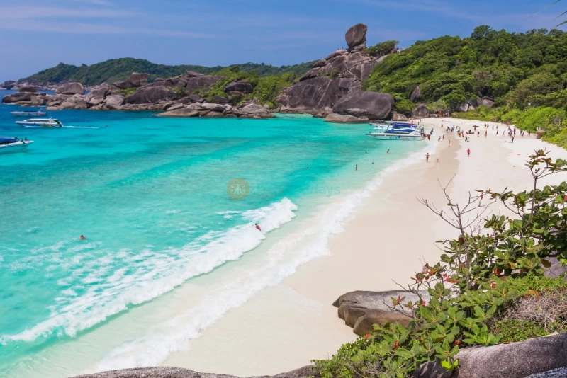 Similan Islands speedboat Snorkeling Tour from Phuket - JTR Holidays - Image 6 of 8
