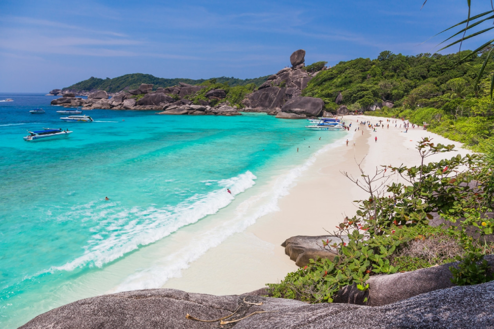 Similan Islands Speedboat Snorkeling Tour from Phuket - Image 6 of 8