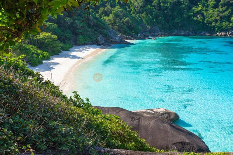 Similan Islands speedboat Snorkeling Tour from Phuket - JTR Holidays - Image 7 of 8