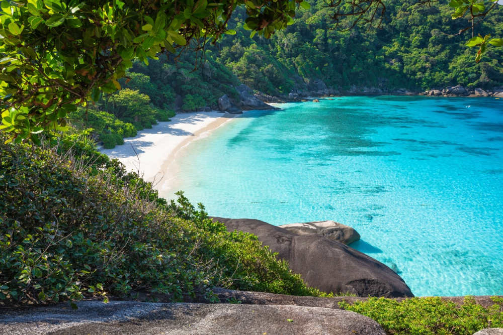 Similan Islands Speedboat Snorkeling Tour from Phuket - Image 7 of 8