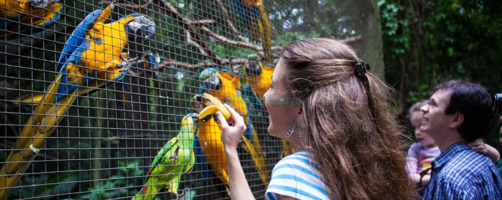 Parque de Aves de Phuket - Imagen 3 de 5