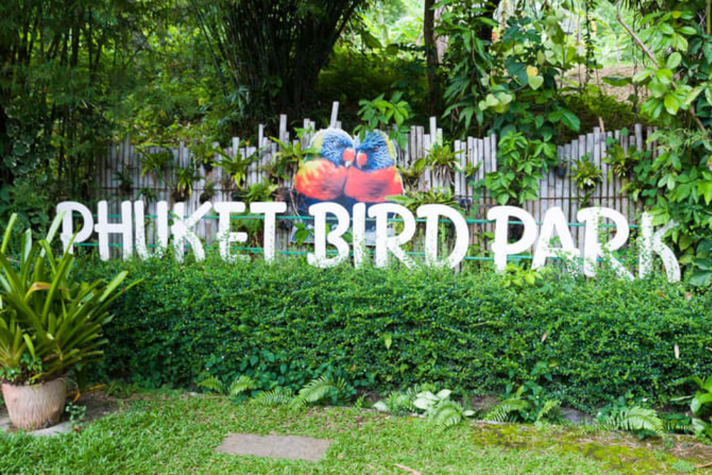 普吉鸟类公园 - Image 6 of 9