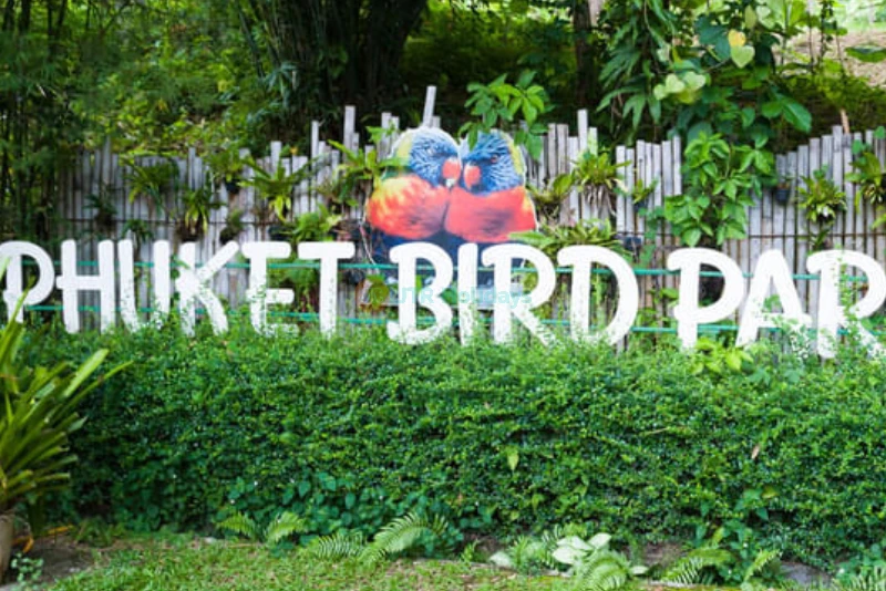 Parque de Aves de Phuket - Image 6 of 9