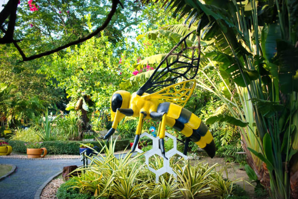 普吉鸟类公园 - Image 8 of 9