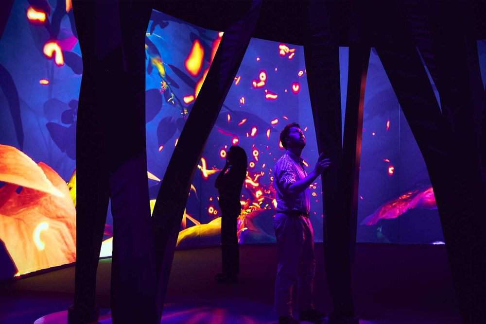 安托比亚博物馆 维多利亚 - 图片 5 的 5