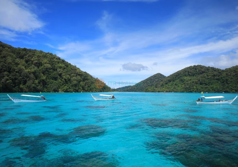 Surin Islands Snorkelling Tour from Phuket