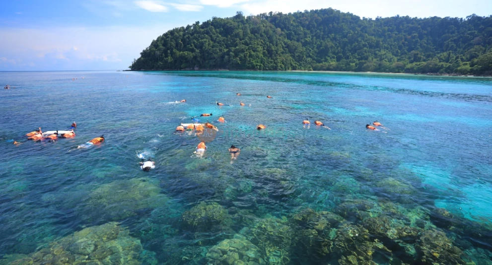 Surin Islands Snorkelling Tour from Phuket - Explore Coral Reefs & Marine Life - JTR Holidays - Image 1 of 5