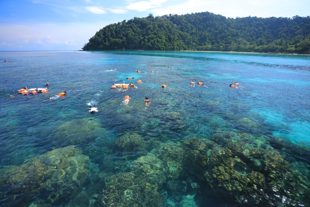 Surin Islands Snorkelling Tour from Phuket - Embark on an exciting Surin Islands Snorkelling Tour from Phuket and explore the vibrant underwater world. Swim with colorful fish and marvel at stunning coral reefs during this Surin Islands Snorkelling Tour from Phuket. Visit the Moken Sea Gypsy Village and learn about their unique lifestyle. Enjoy multiple snorkelling sessions at Chong Kad Channel, Bon Bay, and Turtle Bay. Experience the beauty of Surin Island National Park on this unforgettable Surin Islands Snorkelling Tour from Phuket. Perfect for adventure seekers, nature lovers, and snorkelling enthusiasts! Surin Islands Snorkelling Tour from Phuket - Image 1 of 5