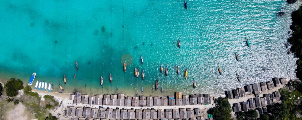 Surin Islands Snorkelling Tour from Phuket - Explore Coral Reefs & Marine Life - JTR Holidays - Image 3 of 5