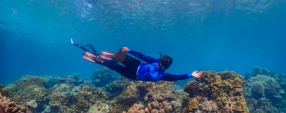 Surin Islands Snorkelling Tour from Phuket - Explore Coral Reefs & Marine Life - JTR Holidays - Image 4 of 5