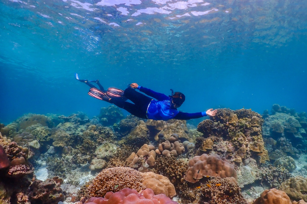Schnorcheltour zu den Surin-Inseln ab Phuket - Begib dich auf eine aufregende Schnorcheltour zu den Surin-Inseln ab Phuket und erkunde die lebendige Unterwasserwelt. Schwimme mit bunten Fischen und bewundere beeindruckende Korallenriffe während dieser Schnorcheltour zu den Surin-Inseln ab Phuket. Besuche das Moken Sea Gypsy Village und erfahre mehr über ihren einzigartigen Lebensstil. Genieße mehrere Schnorchelsessions im Chong Kad Channel, Bon Bay und Turtle Bay. Erlebe die Schönheit des Surin Island Nationalparks auf dieser unvergesslichen Schnorcheltour zu den Surin-Inseln ab Phuket. Perfekt für Abenteuersuchende, Naturfreunde und Schnorchel-Liebhaber! Schnorcheltour zu den Surin-Inseln ab Phuket - Bild 4 von 5