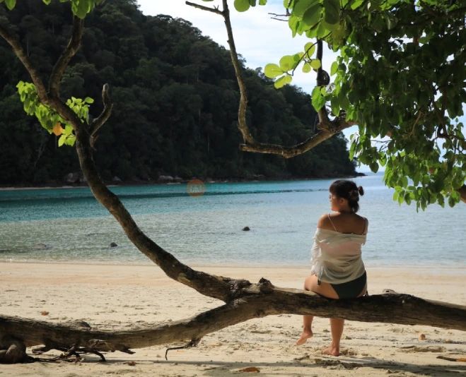 Surin Islands Snorkelling Tour from Phuket - Explore Coral Reefs & Marine Life - JTR Holidays - Image 5 of 5