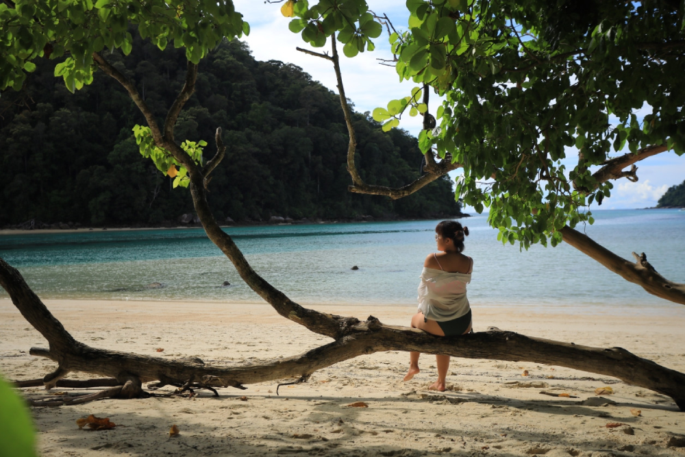 Surin Islands Snorkelling Tour from Phuket - Image 5 of 5