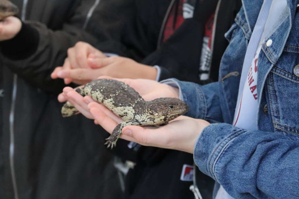 Gorge Wildlife Park - Image 1 of 5