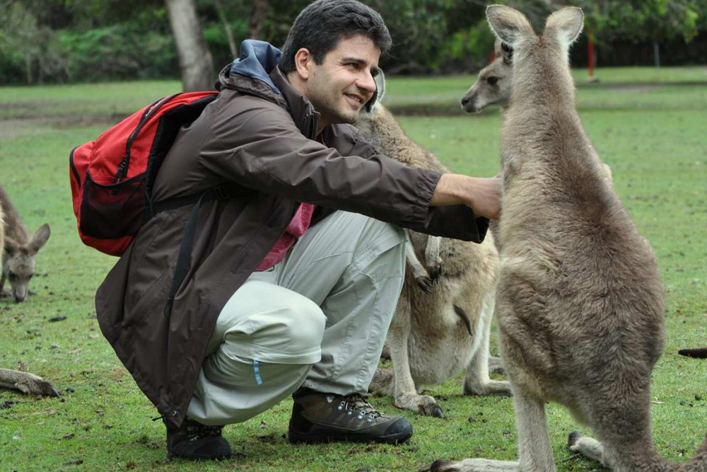 Вход в Тасманийский Дьявол Анзу в Тасмании - Изображение 5 из 5