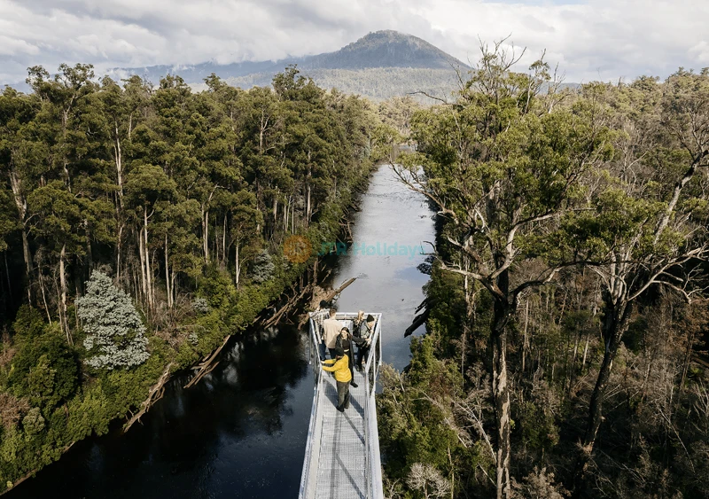 Tahune Adventures Tasmania