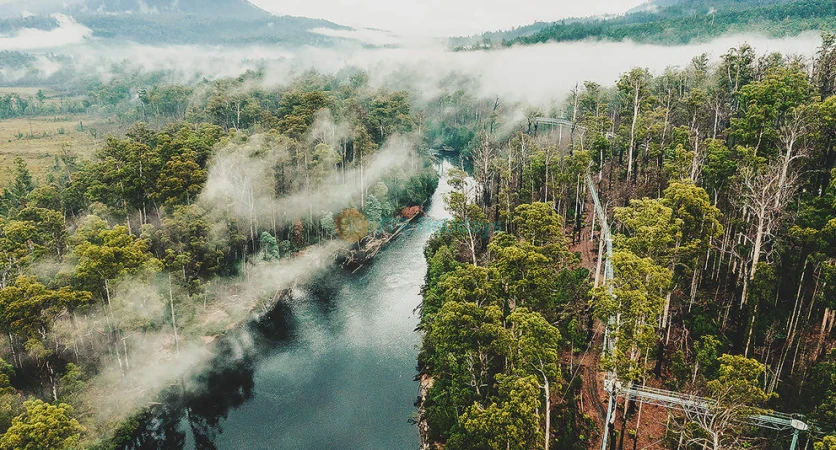 Tahune Adventures Tasmania - AirWalk & Wilderness Experiences - JTR Holidays