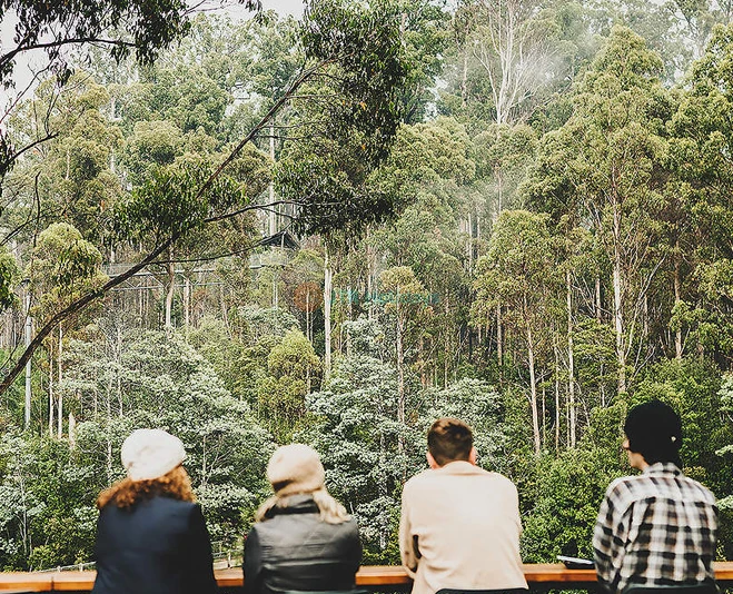 Tahune Adventures Tasmania - Imagen 2 de 5