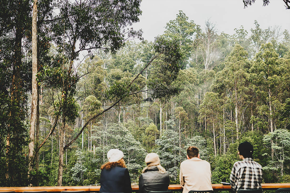 Tahune Adventures Tasmanien - Erleben Sie den Nervenkitzel des Tahune AirWalk und entdecken Sie die atemberaubende Wildnis Tasmaniens bei Tahune Adventures Tasmanien. Genießen Sie atemberaubende Ausblicke, spannende Flussaktivitäten und erfahren Sie mehr über die einzigartige tasmanische Ökologie. Perfekt für Naturliebhaber und Abenteuersuchende bietet dieses Ziel eine einzigartige Möglichkeit, die natürliche Schönheit Tasmaniens zu erleben. Tahune Adventures Tasmanien - Bild 2 von 5