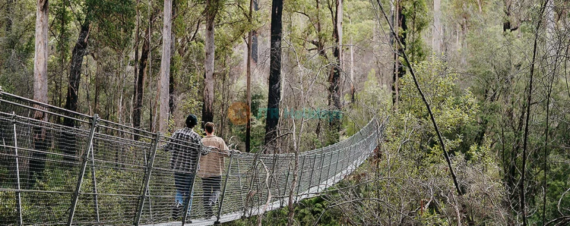 Тахун Приключения Тасмания - Испытайте азарт прогулки по Tahune AirWalk и исследуйте потрясающую дикую природу Тасмании в Тахун Приключениях Тасмания. Наслаждайтесь захватывающими видами, увлекательными речными активностями и узнайте о уникальной экологии Тасмании. Идеально для любителей природы и искателей приключений, это место предлагает уникальный способ познакомиться с природной красотой Тасмании. Тахун Приключения Тасмания - Изображение 4 из 5