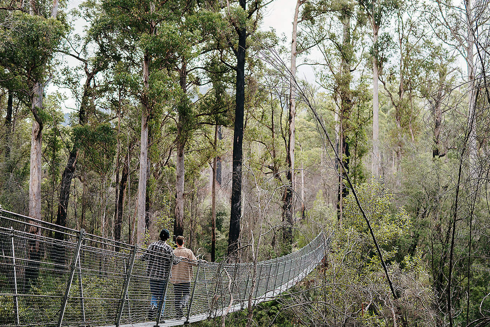 Tahune Adventures Tasmanien - Erleben Sie den Nervenkitzel des Tahune AirWalk und entdecken Sie die atemberaubende Wildnis Tasmaniens bei Tahune Adventures Tasmanien. Genießen Sie atemberaubende Ausblicke, spannende Flussaktivitäten und erfahren Sie mehr über die einzigartige tasmanische Ökologie. Perfekt für Naturliebhaber und Abenteuersuchende bietet dieses Ziel eine einzigartige Möglichkeit, die natürliche Schönheit Tasmaniens zu erleben. Tahune Adventures Tasmanien - Bild 4 von 5