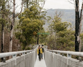 Tahune Adventures Tasmania - AirWalk & Wilderness Experiences - JTR Holidays