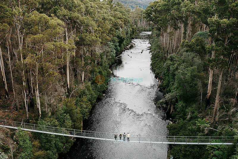 Tahune Adventures Tasmania - AirWalk & Wilderness Experiences - JTR Holidays - Image 6 of 7