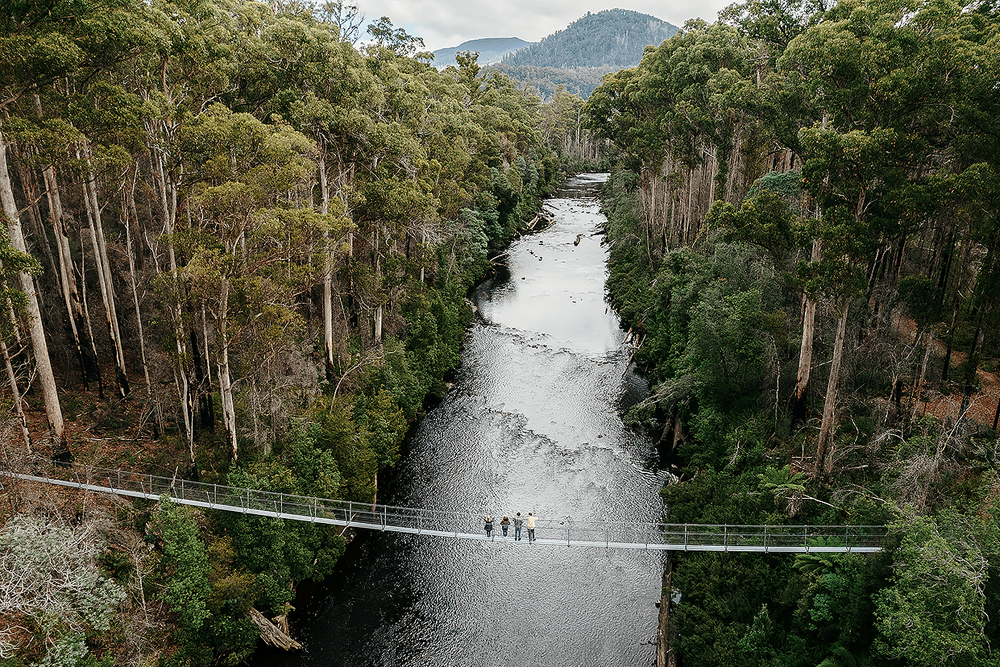 Tahune Adventures Tasmania - Image 6 of 7