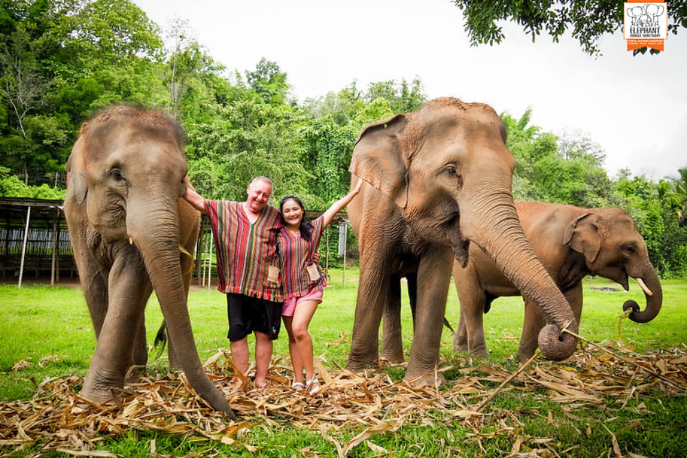 Elephant Jungle Sanctuary Chiang Mai - Explore Elephant Jungle Sanctuary Chiang Mai and experience a day with gentle elephants in their natural home. Enjoy feeding, bathing, and a fun mud spa with these amazing animals. Dressed in traditional Karen attire, create unforgettable moments as you interact with the elephants up close. Elephant Jungle Sanctuary Chiang Mai promotes ethical care and responsible tourism. Discover the magic of Elephant Jungle Sanctuary Chiang Mai with fun activities, delicious Thai food, and lasting memories. Elephant Jungle Sanctuary Chiang Mai - Image 3 of 5