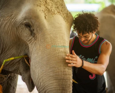 Elephant Jungle Sanctuary Chiang Mai - Explore Elephant Jungle Sanctuary Chiang Mai and experience a day with gentle elephants in their natural home. Enjoy feeding, bathing, and a fun mud spa with these amazing animals. Dressed in traditional Karen attire, create unforgettable moments as you interact with the elephants up close. Elephant Jungle Sanctuary Chiang Mai promotes ethical care and responsible tourism. Discover the magic of Elephant Jungle Sanctuary Chiang Mai with fun activities, delicious Thai food, and lasting memories. Elephant Jungle Sanctuary Chiang Mai - Image 2 of 5