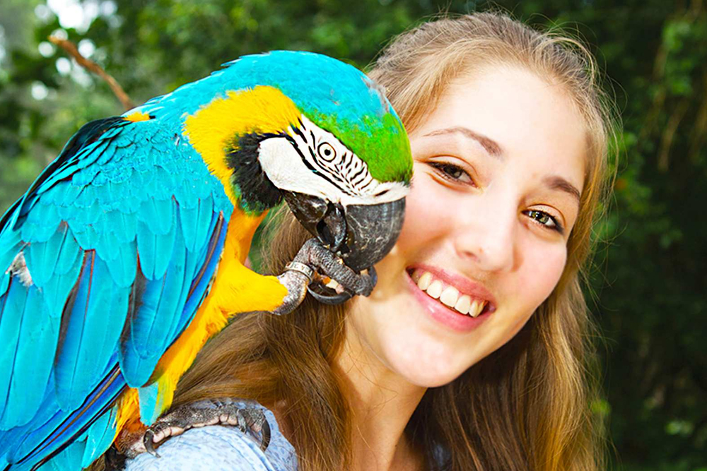 Birdworld Kuranda - Image 1 of 8