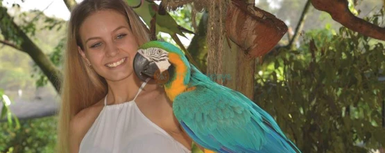 Birdworld Kuranda - Discover Exotic Birds & Wildlife in Queensland - JTR Holidays