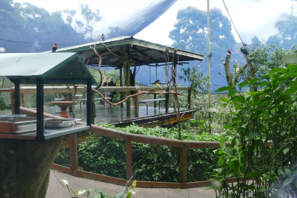 Birdworld Kuranda - Image 6 of 8